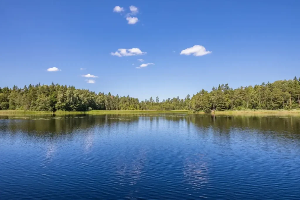Safe and supportive mental health care for women overcoming trauma near Lake Forest